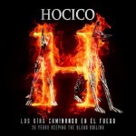 hocico_20years